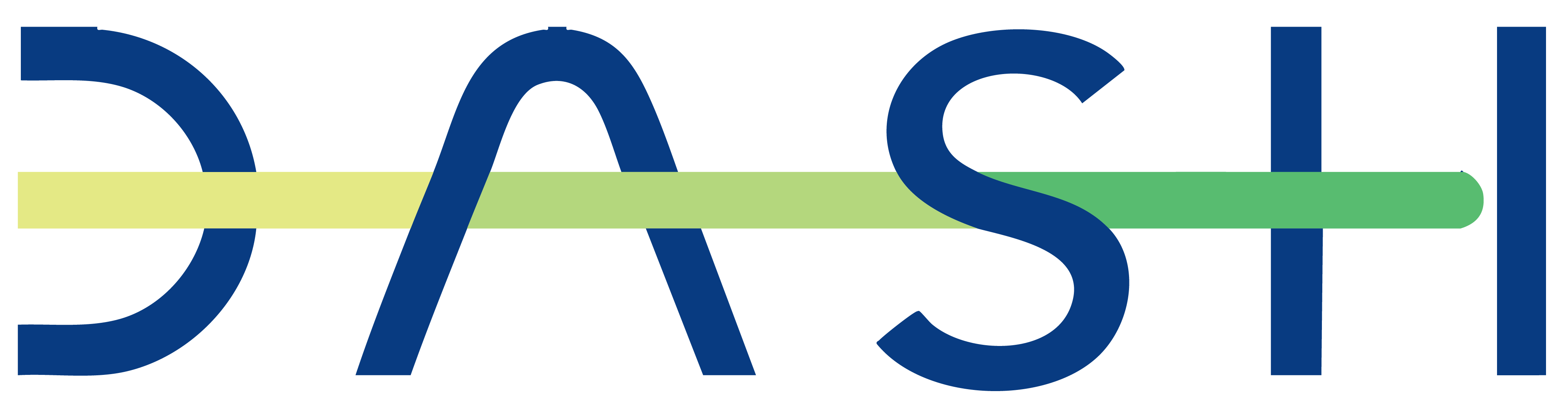 DASH Logo